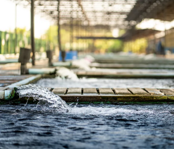 Water- en Afvalwatertechnologie Water- en Afvalwatertechnologie